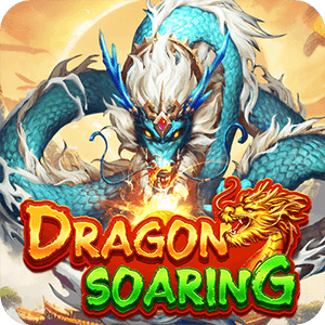 Dragon Soaring